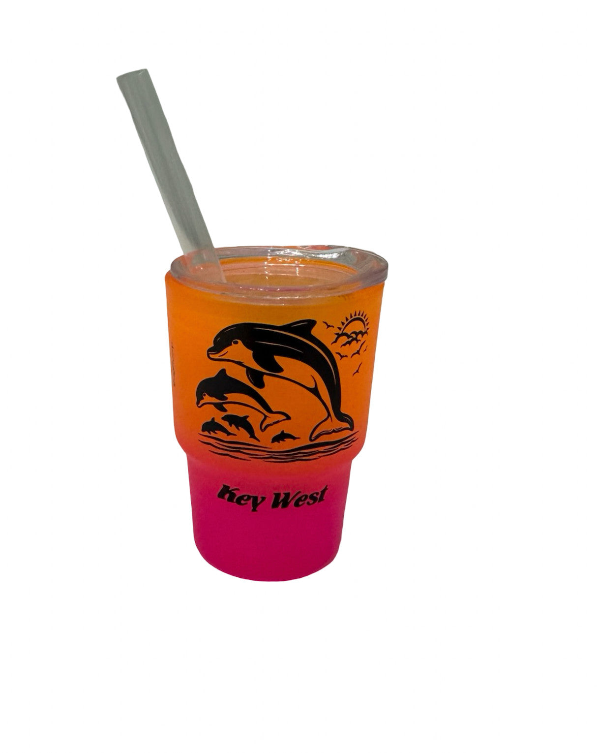 Dolphin Key West Matte Mini Tumbler Shot Glass