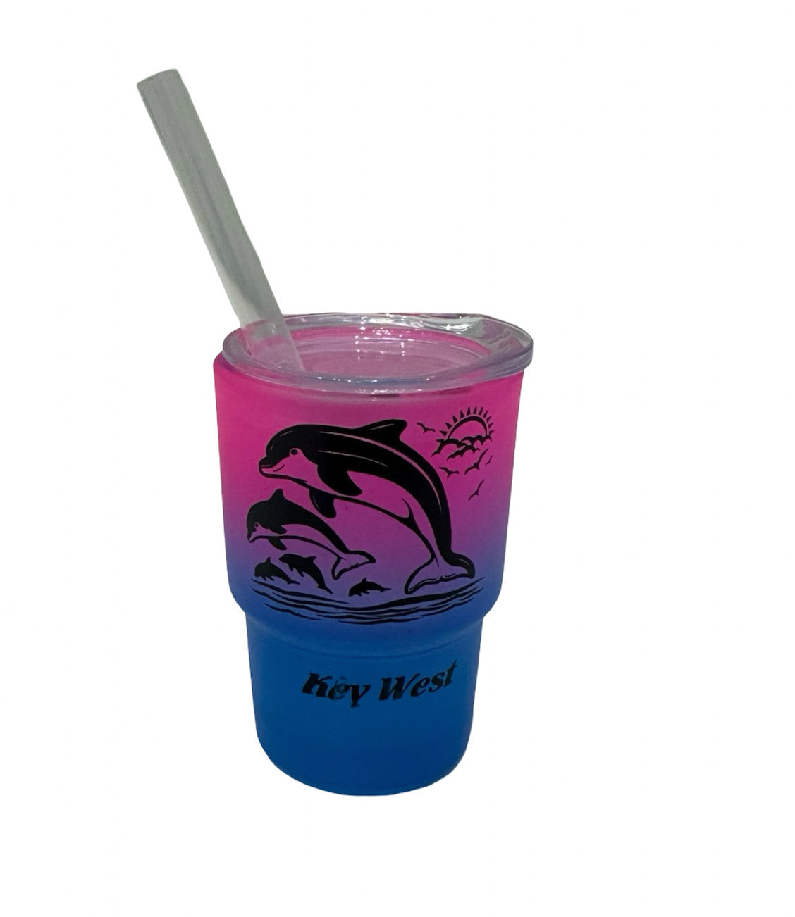 Dolphin Key West Matte Mini Tumbler Shot Glass
