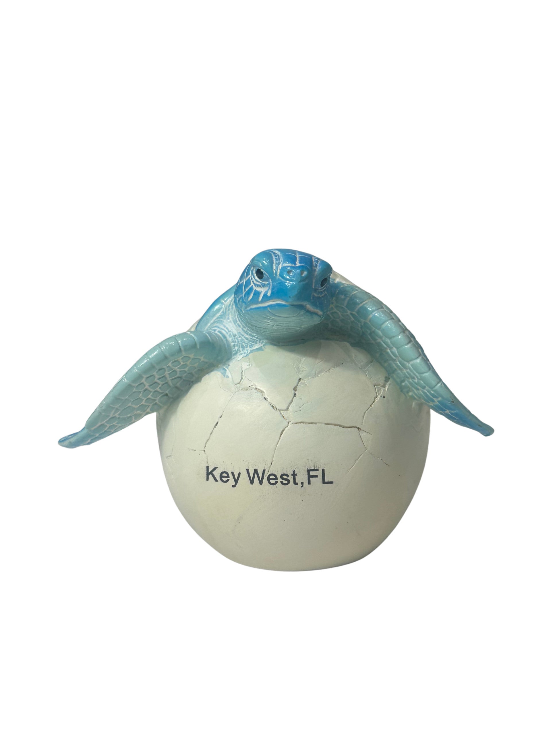 Hatchling Key West Sea Turtle Blue Large