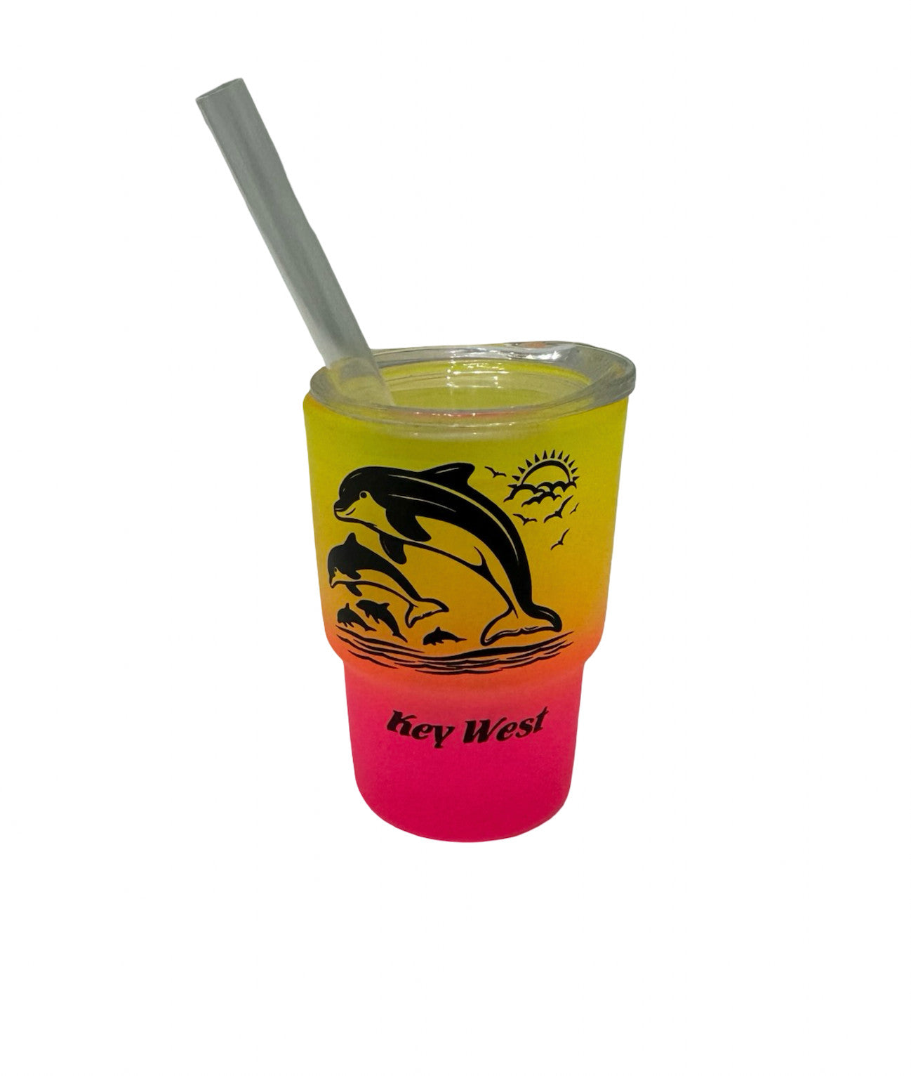 Dolphin Key West Matte Mini Tumbler Shot Glass