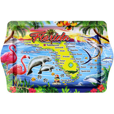 Florida Icons Map 10"x6" Tin Tray