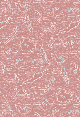 Vineyard Vines Island Maps Printed Casual Shirt SS