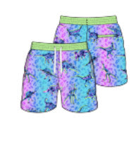 Chubbies Youth The Dino Delights Classic Swim Trunk