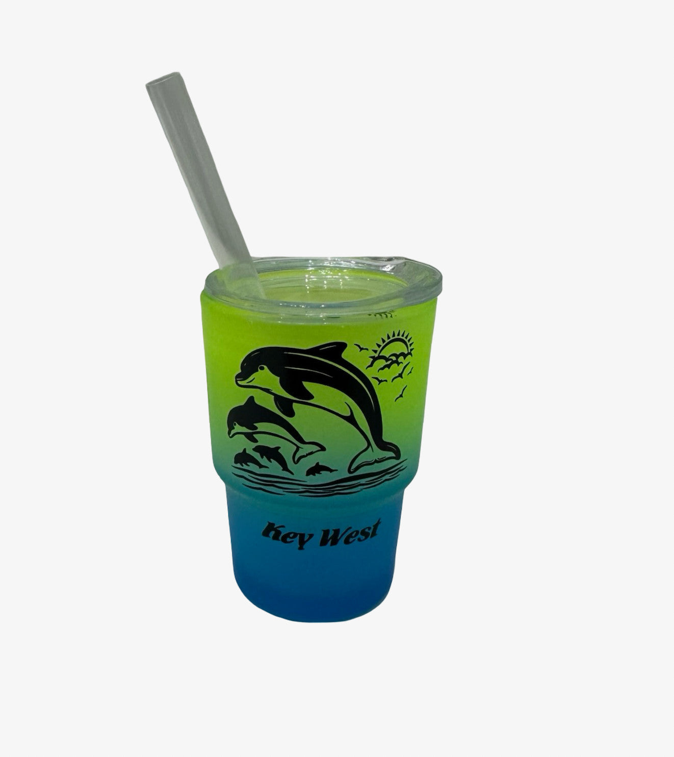 Dolphin Key West Matte Mini Tumbler Shot Glass