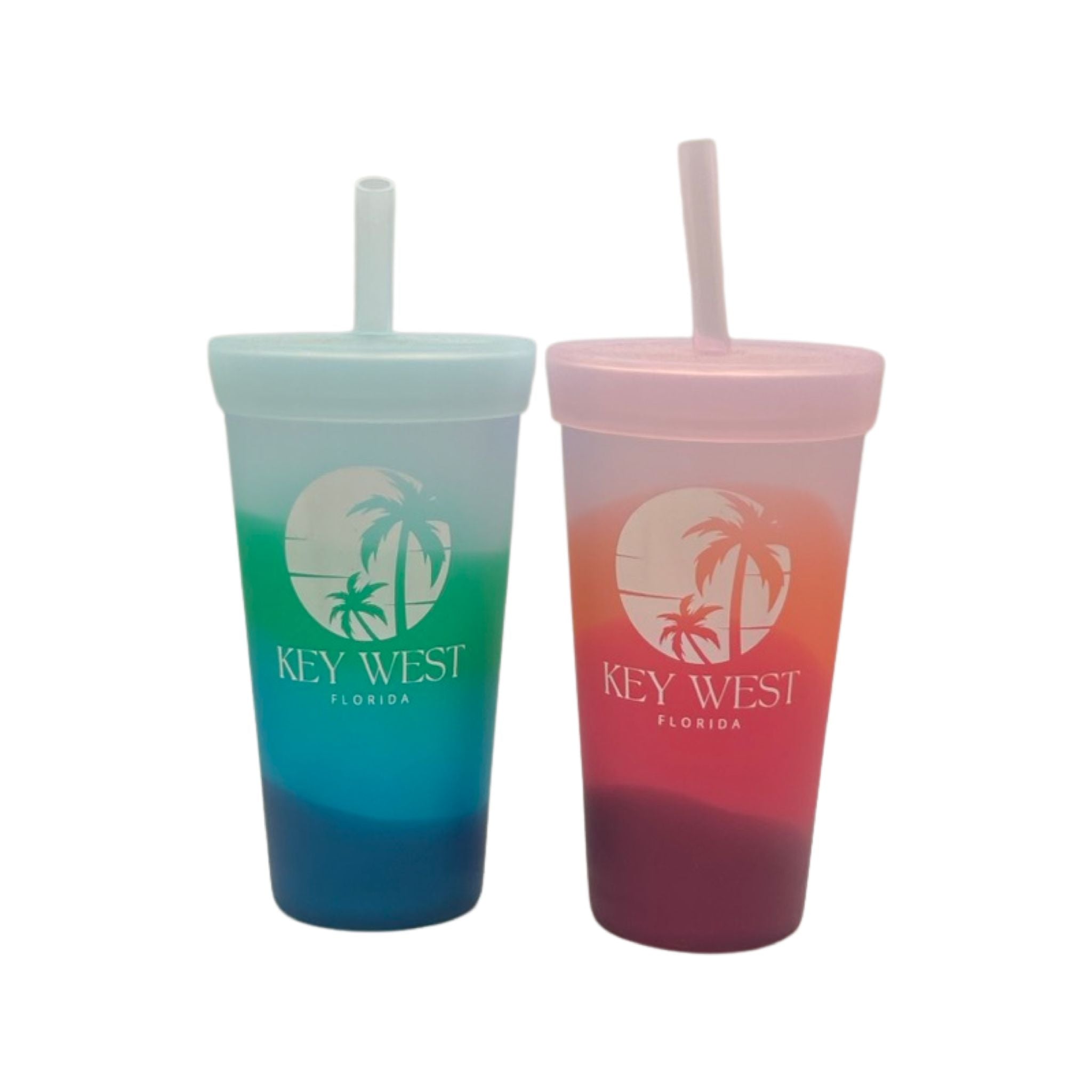 Silipint Key West Silicone Straw Tumbler Cup 22oz
