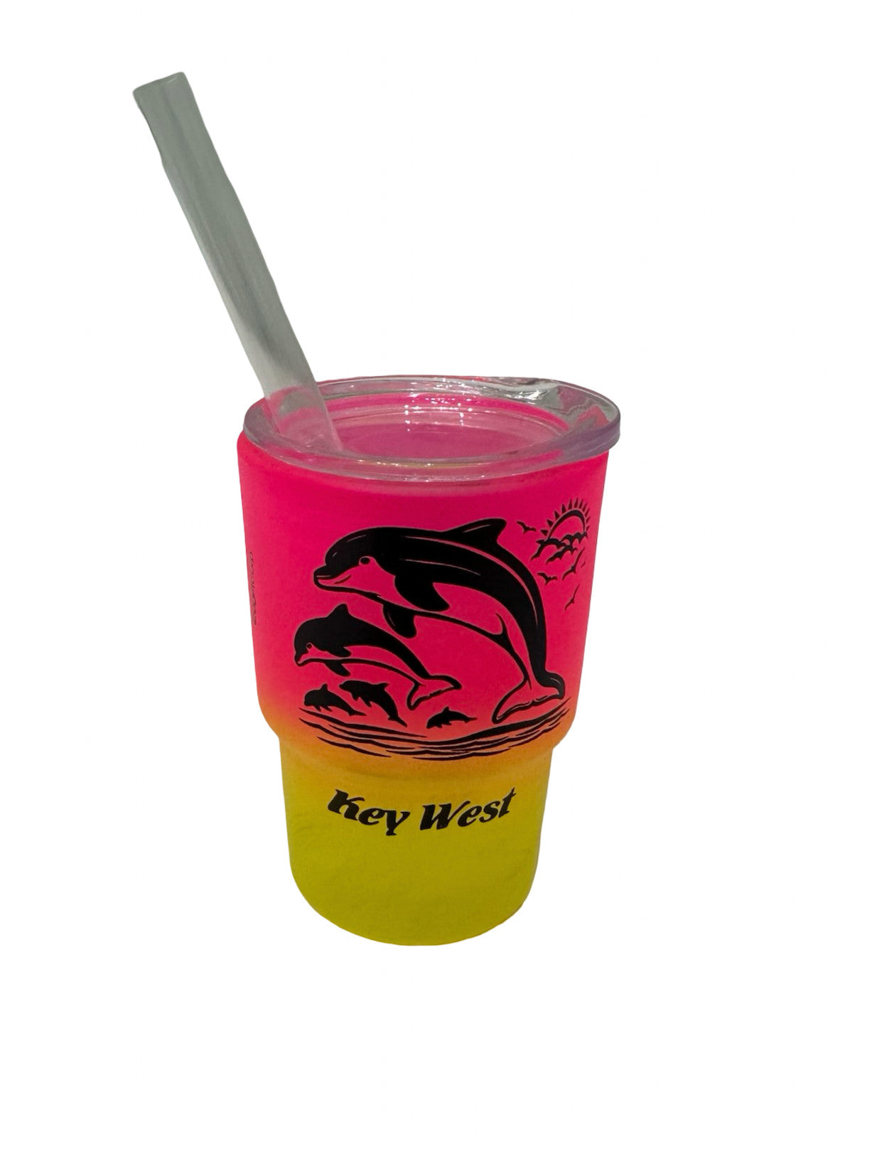 Dolphin Key West Matte Mini Tumbler Shot Glass