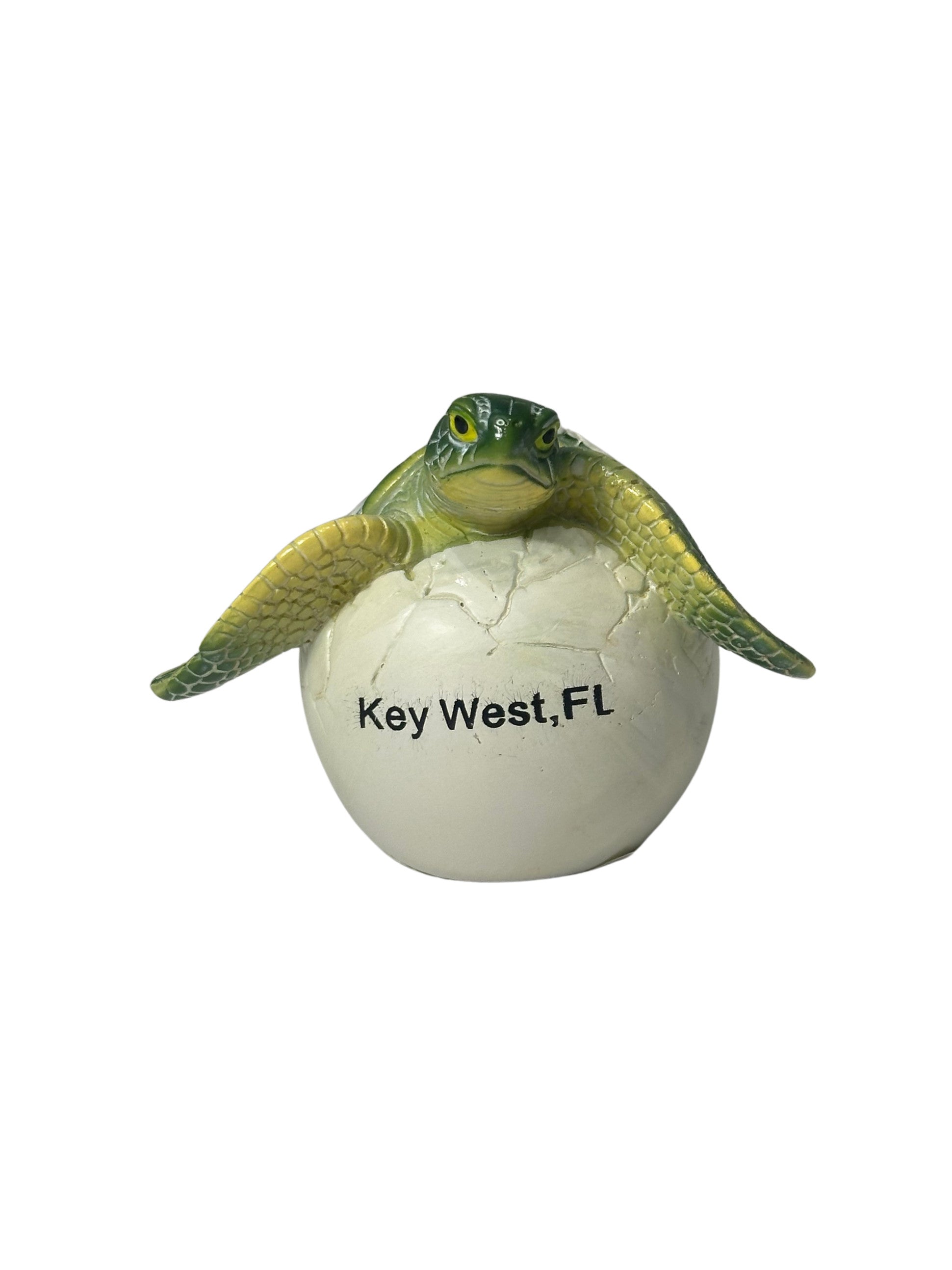 Hatchling Key West Sea Turtle Green Small