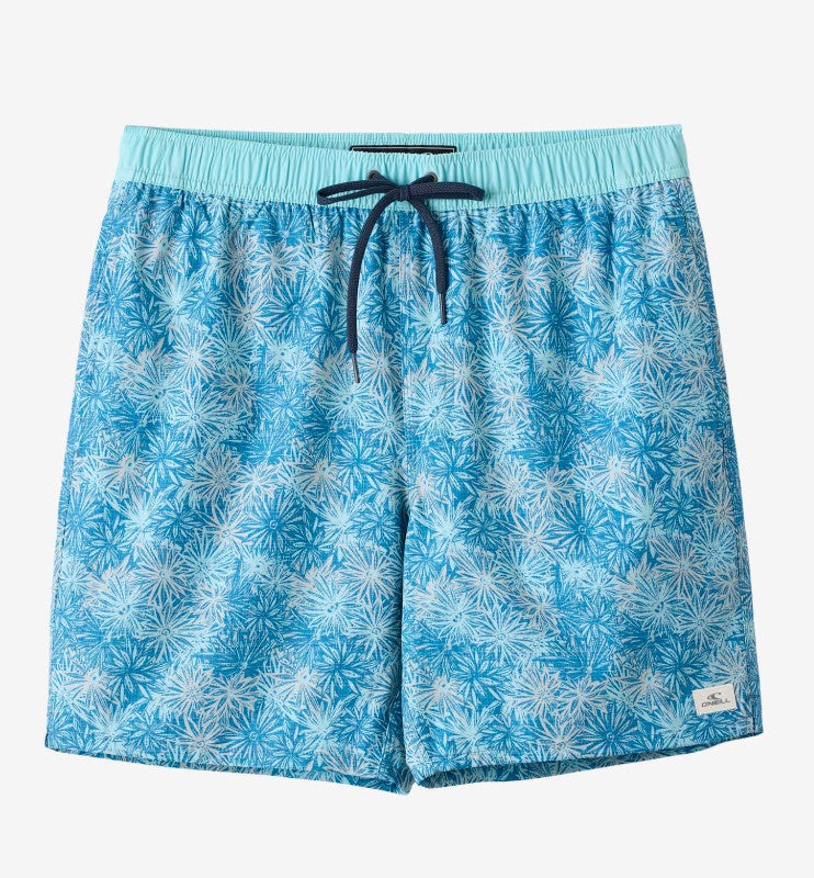O'Neill Hermosa 17" Lined Shorts Stormy