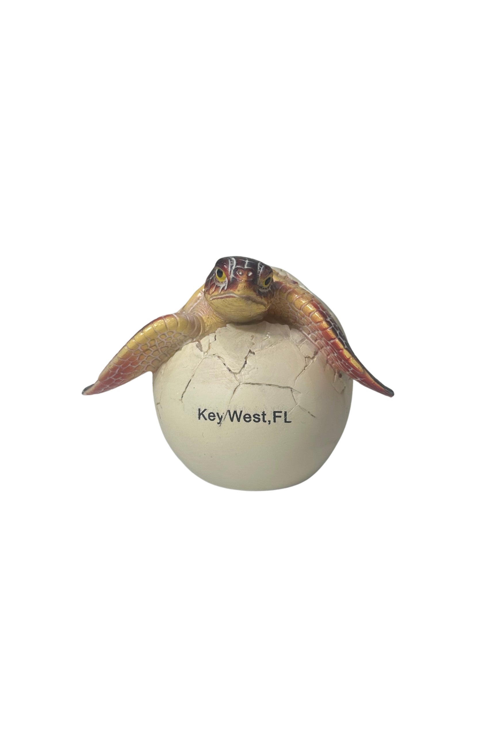 Hatchling Key West Sea Turtle Red Small
