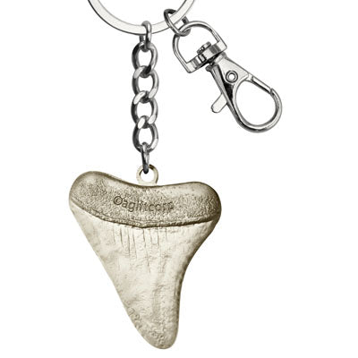 Shark Tooth Key West Charm Keychain