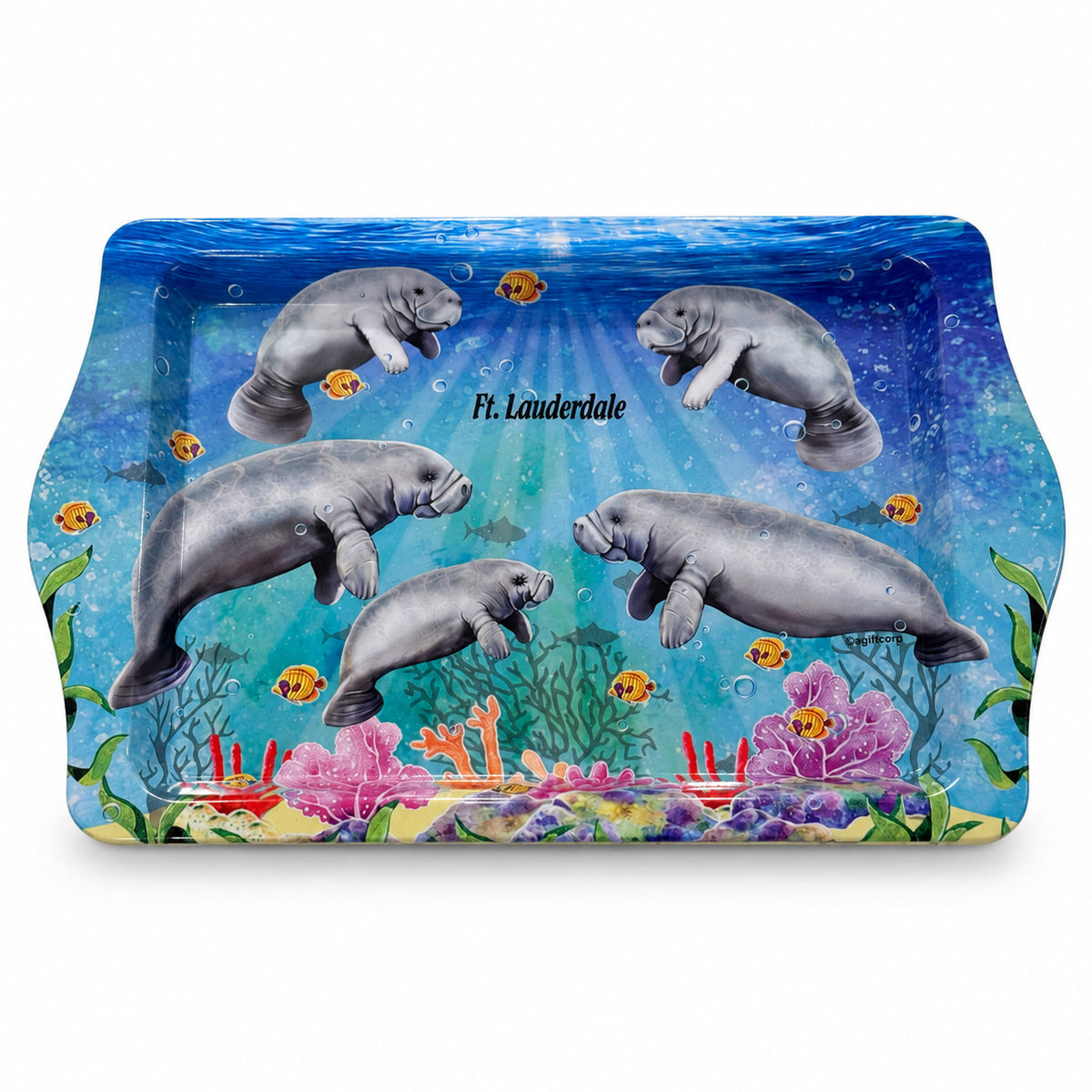 Ft. Lauderdale Manatee 10"x6" Tin Tray