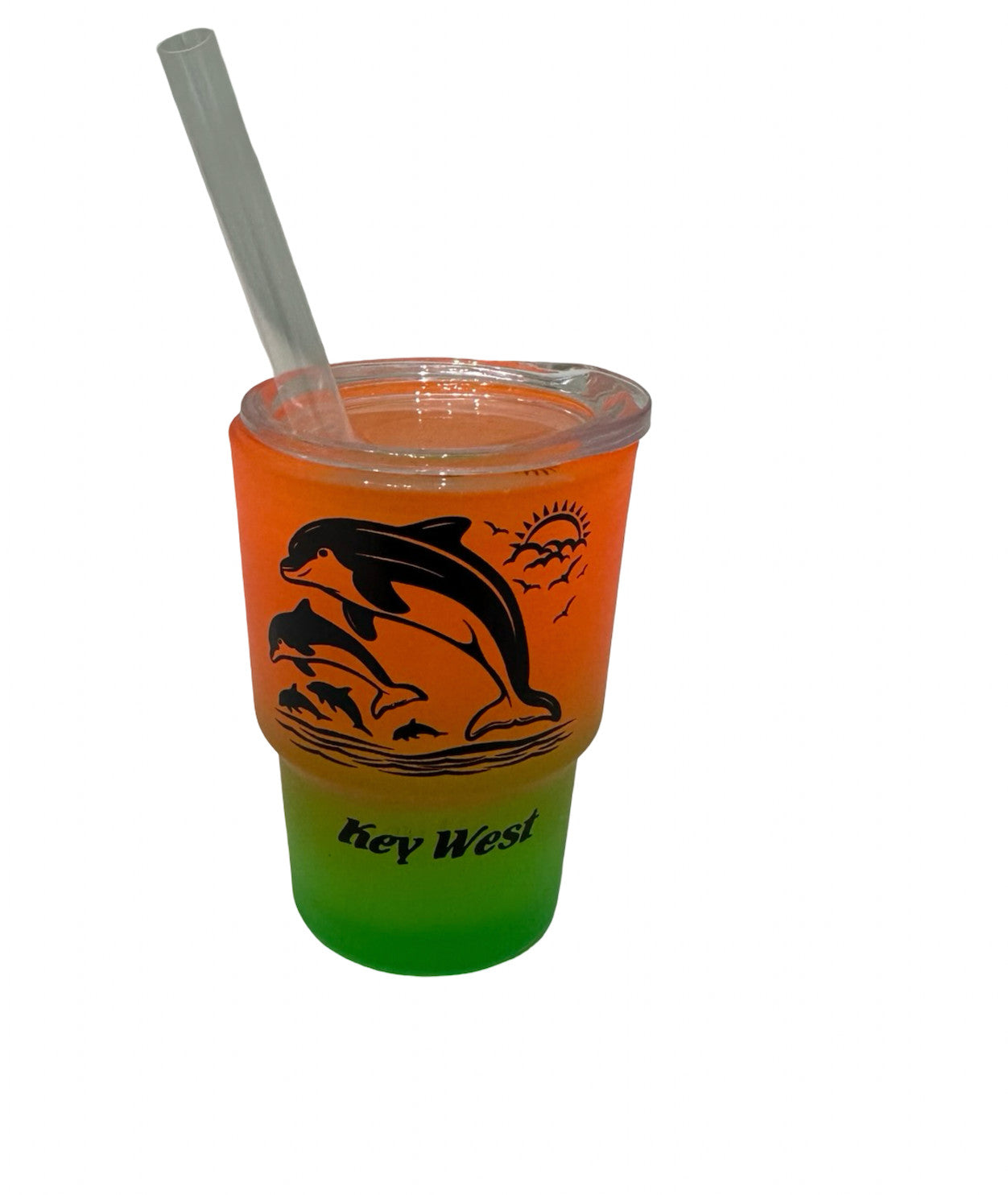 Dolphin Key West Matte Mini Tumbler Shot Glass
