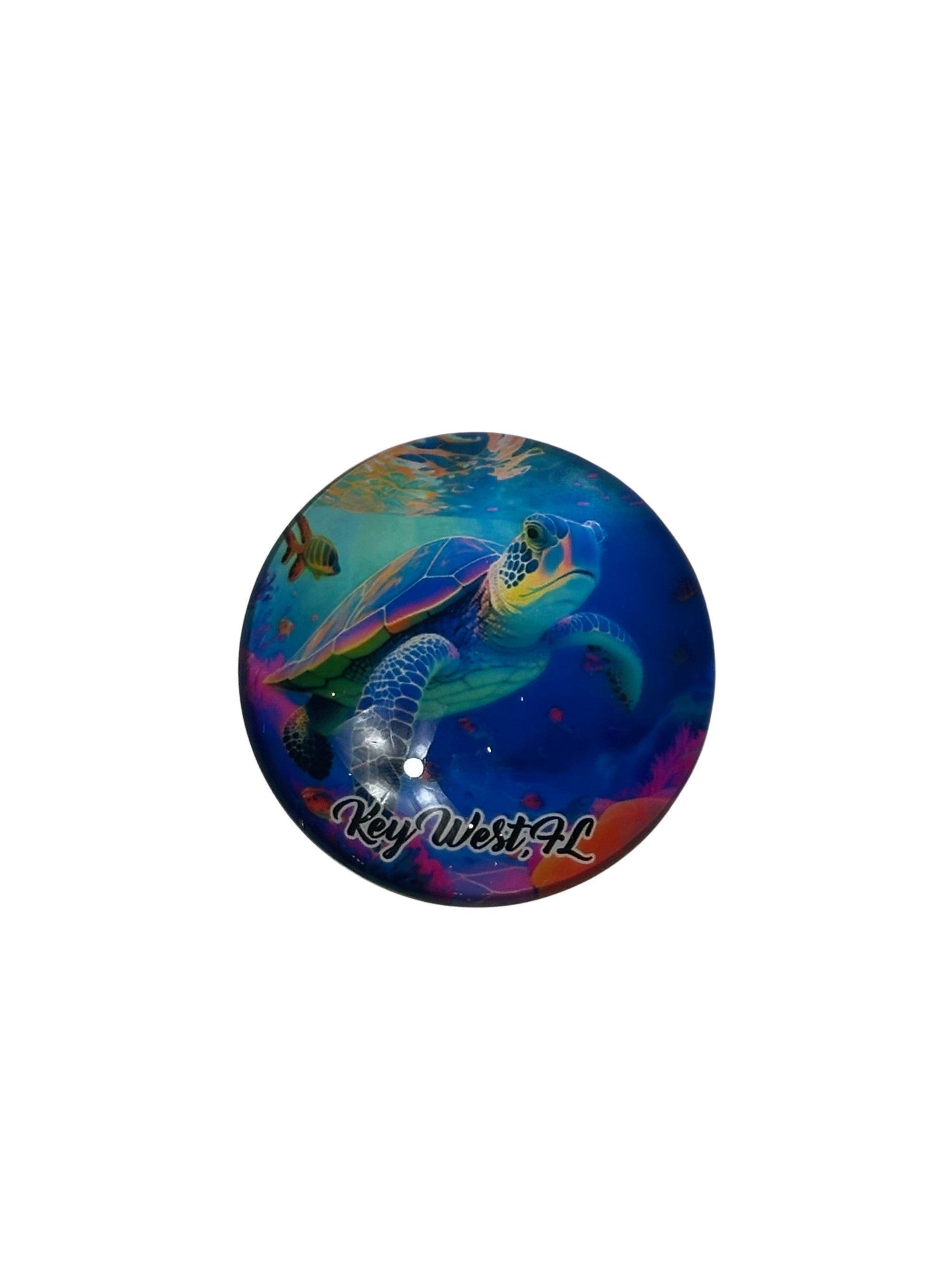 Sea Turtle Reef Key West Magnet