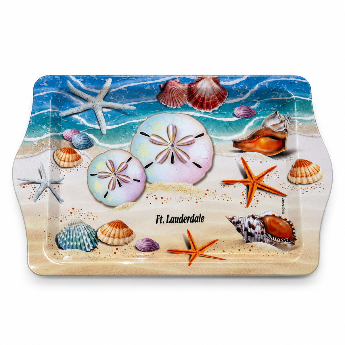 Ft. Lauderdale Sand Dollars 10"x6" Tin Tray