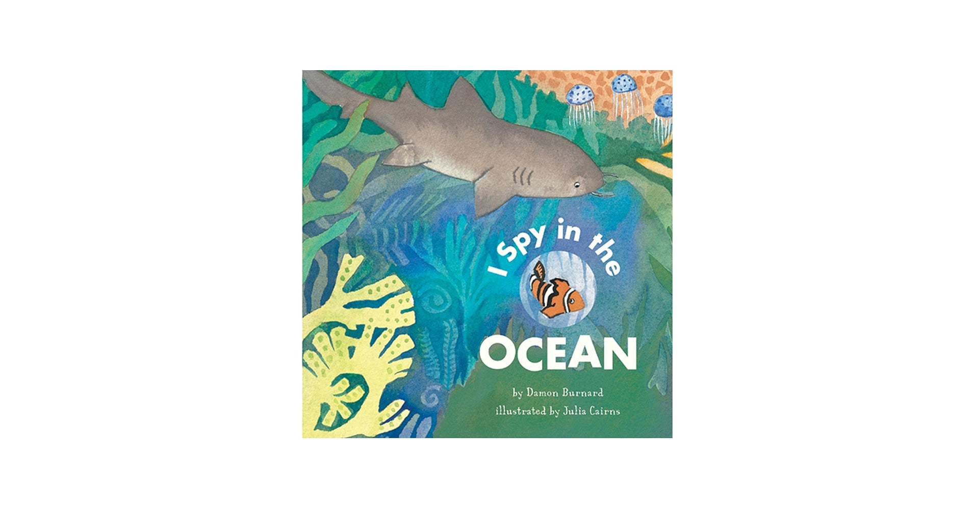 I Spy in the Ocean Book