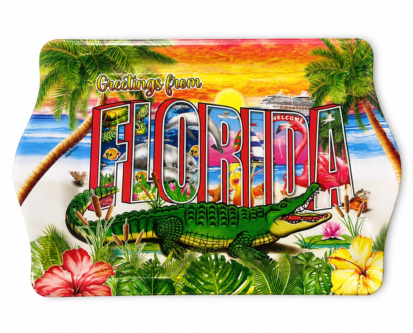 Greetings From Florida 10"x6" Tin Tray
