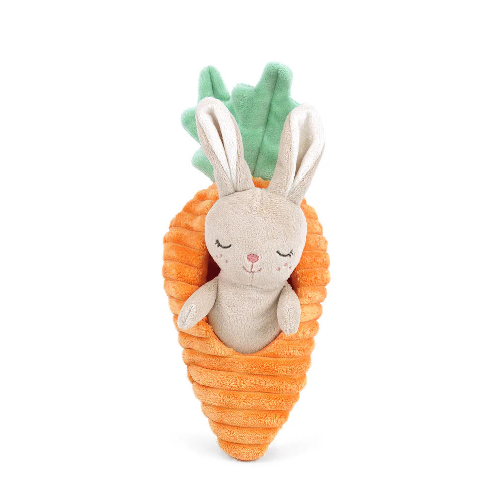 Mon Ami Bunny In A Carrot Plush Toy