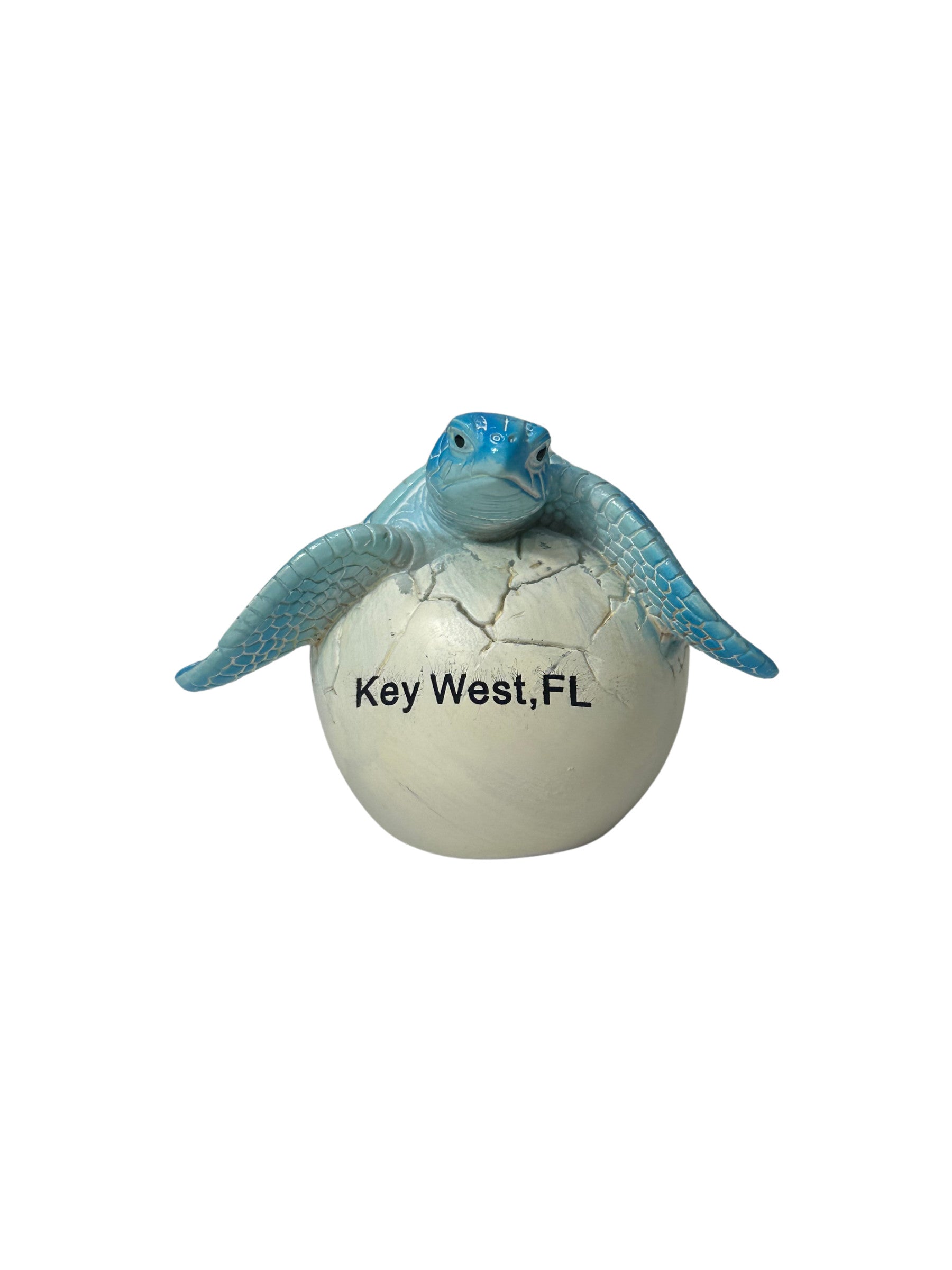 Hatchling Key West Sea Turtle Blue Small