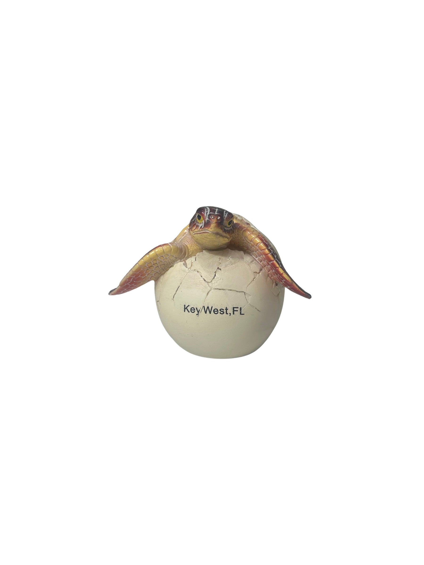 Hatchling Key West Sea Turtle Red Large