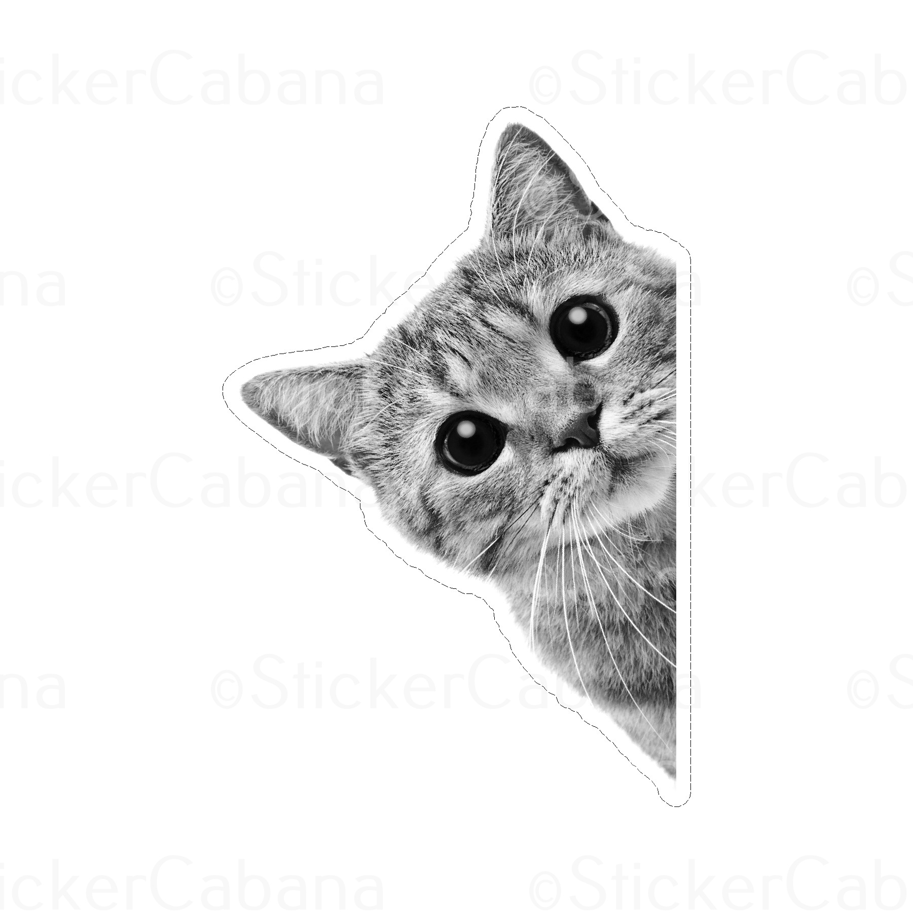 Sticker Cabana Peeking Cat Small Sticker